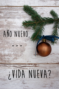 Año Nuevo, ¿Vida Nueva?